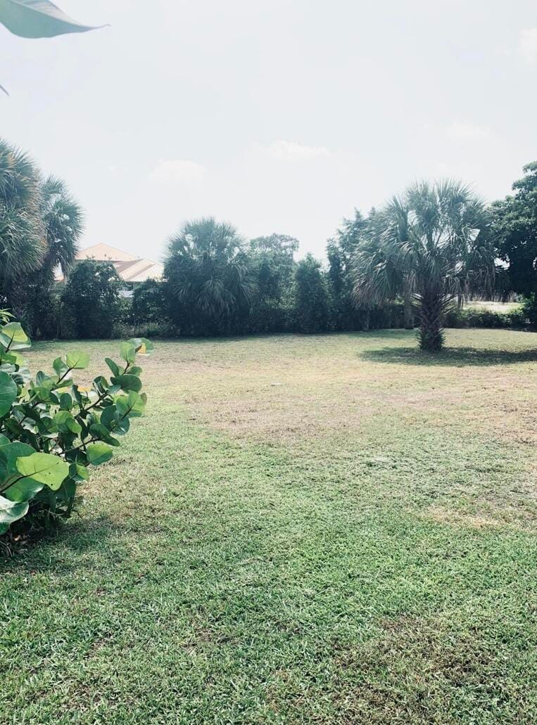 2730 S Avenue Avenue, Riviera Beach, FL 33404 photo 5