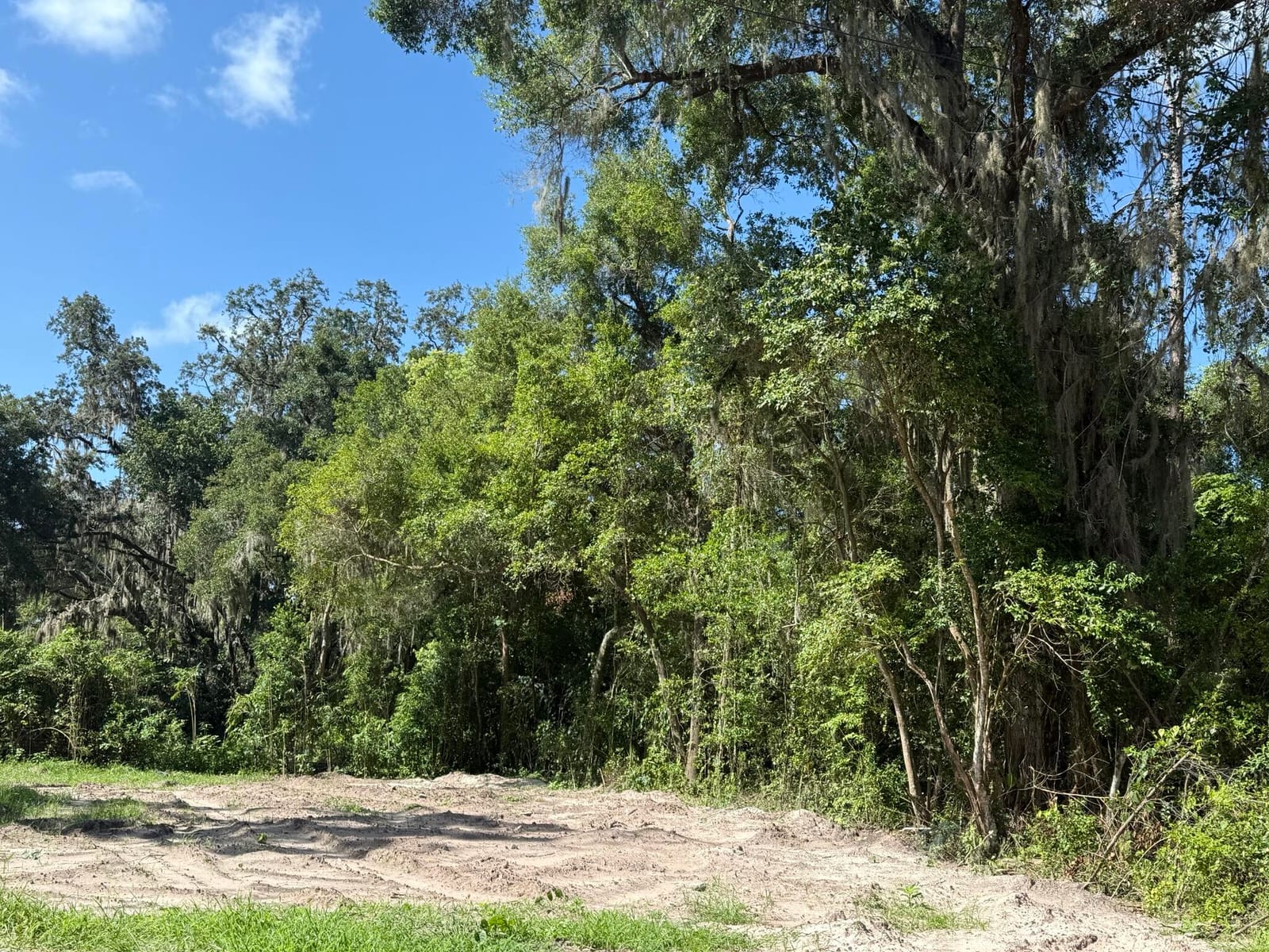 115 Roddy Lane — photo 2