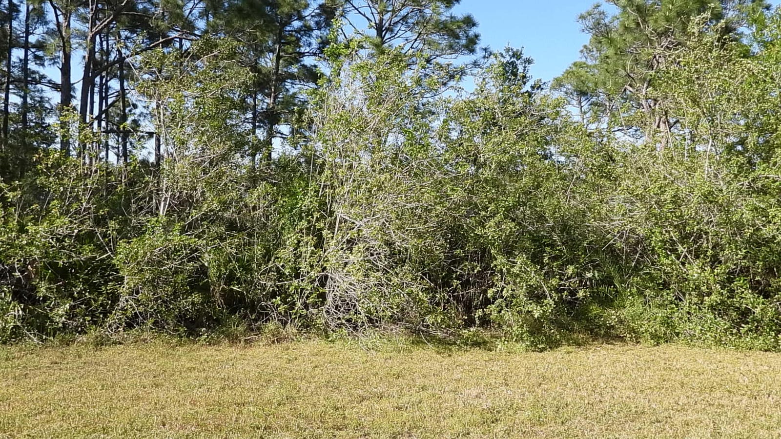 12350 Crusader Place, Port St. Lucie, FL 34987 photo 12