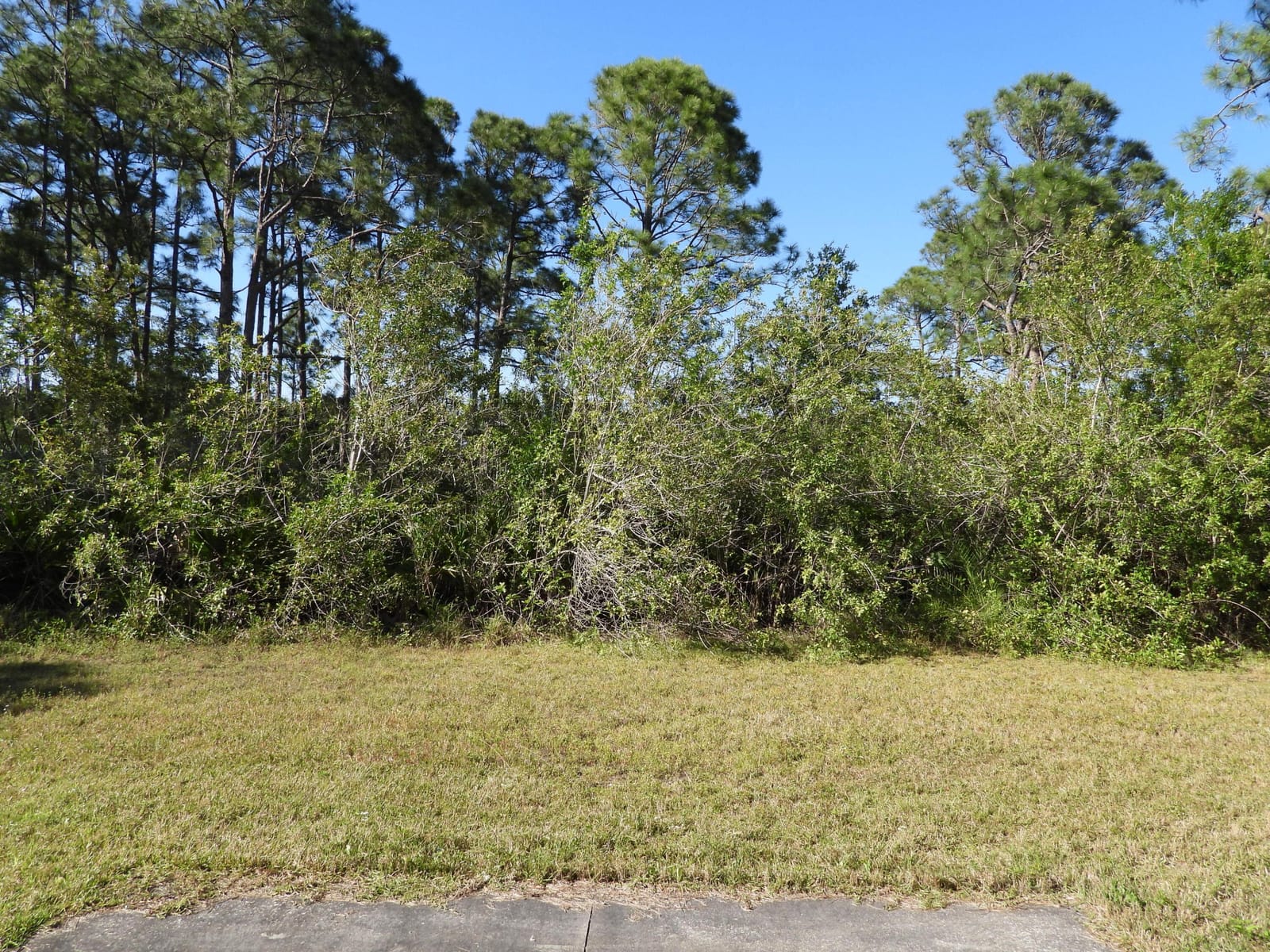 12350 Crusader Place, Port St. Lucie, FL 34987 photo 13