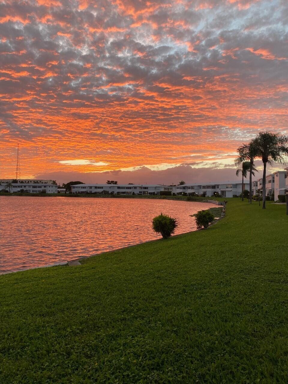 1112 Lake Terrace 203, Boynton Beach, FL 33426 photo 25