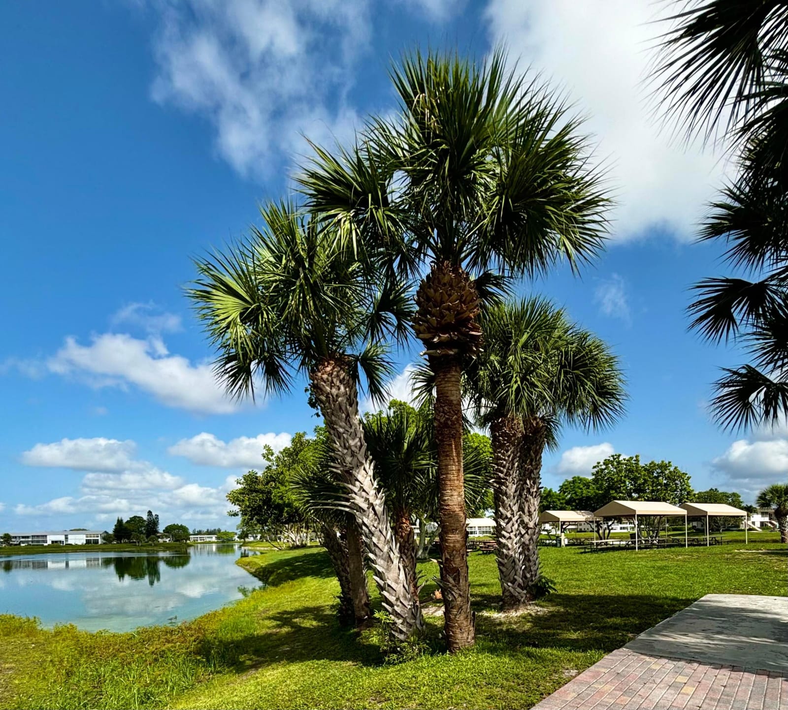 82 Camden D, West Palm Beach, FL 33417 photo 30