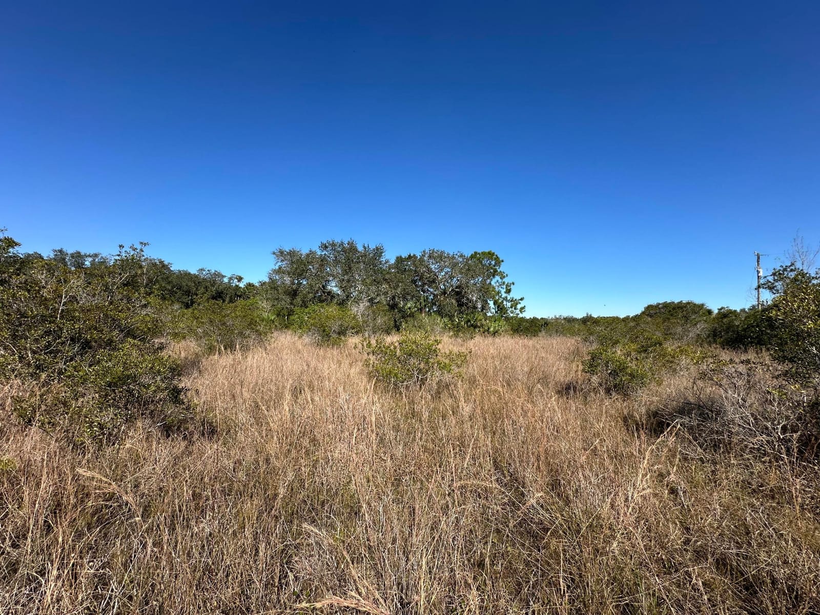 15415 NW 292nd Street, Okeechobee, FL 34972 photo 4