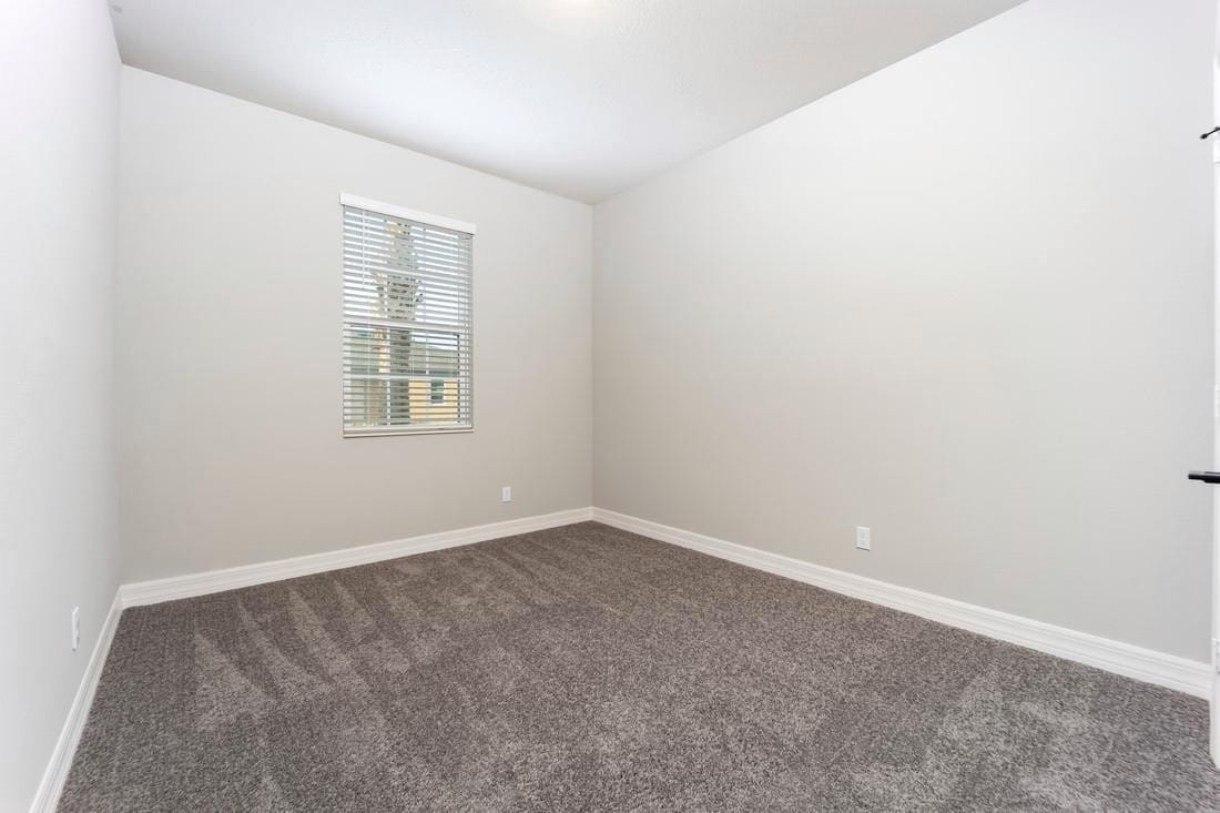 5313 Gladness Court — photo 12