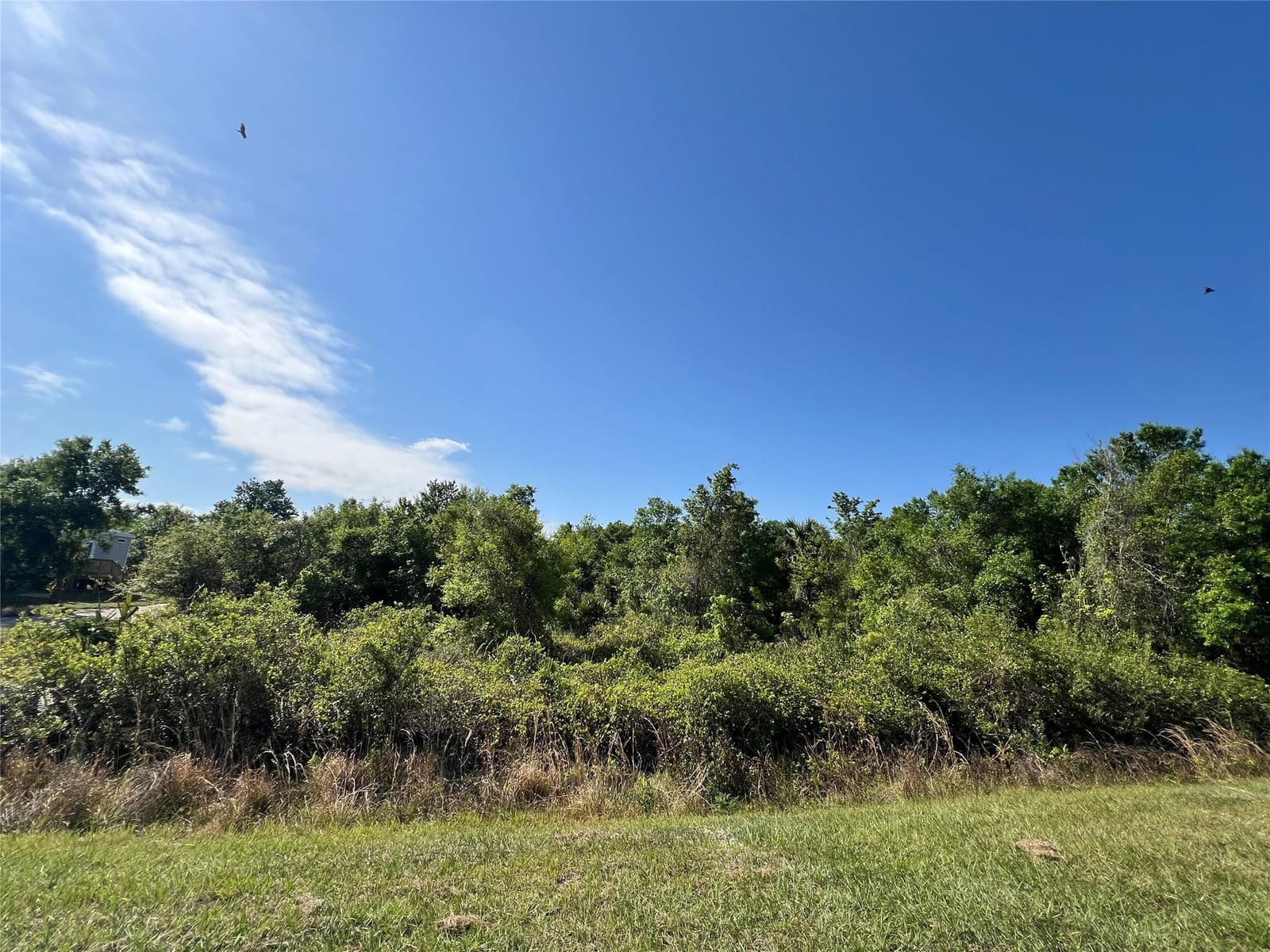 16226 NW 254th Street, Okeechobee, FL 34972