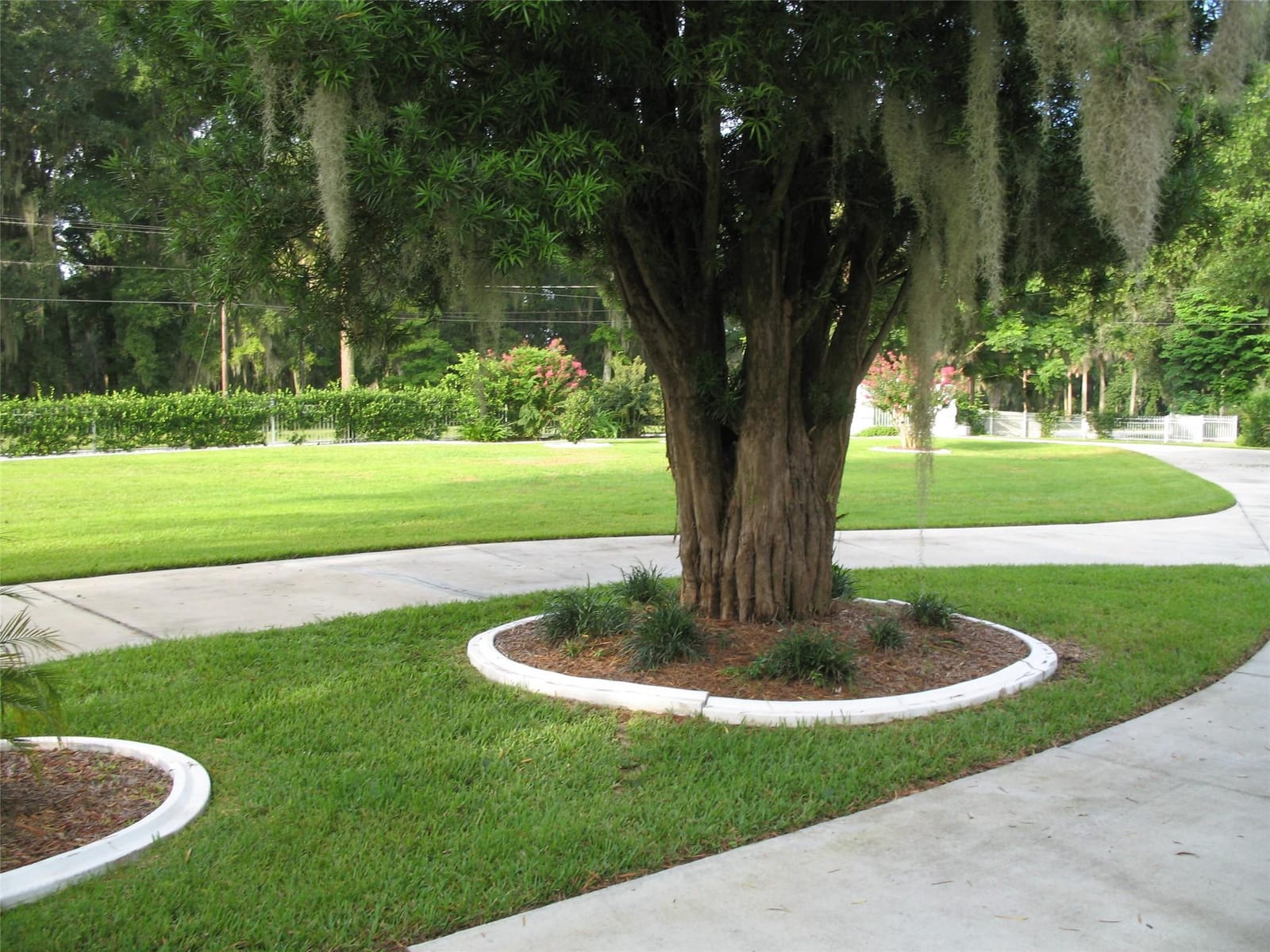 555 SW 87th Place, Ocala, FL 34476 photo 13