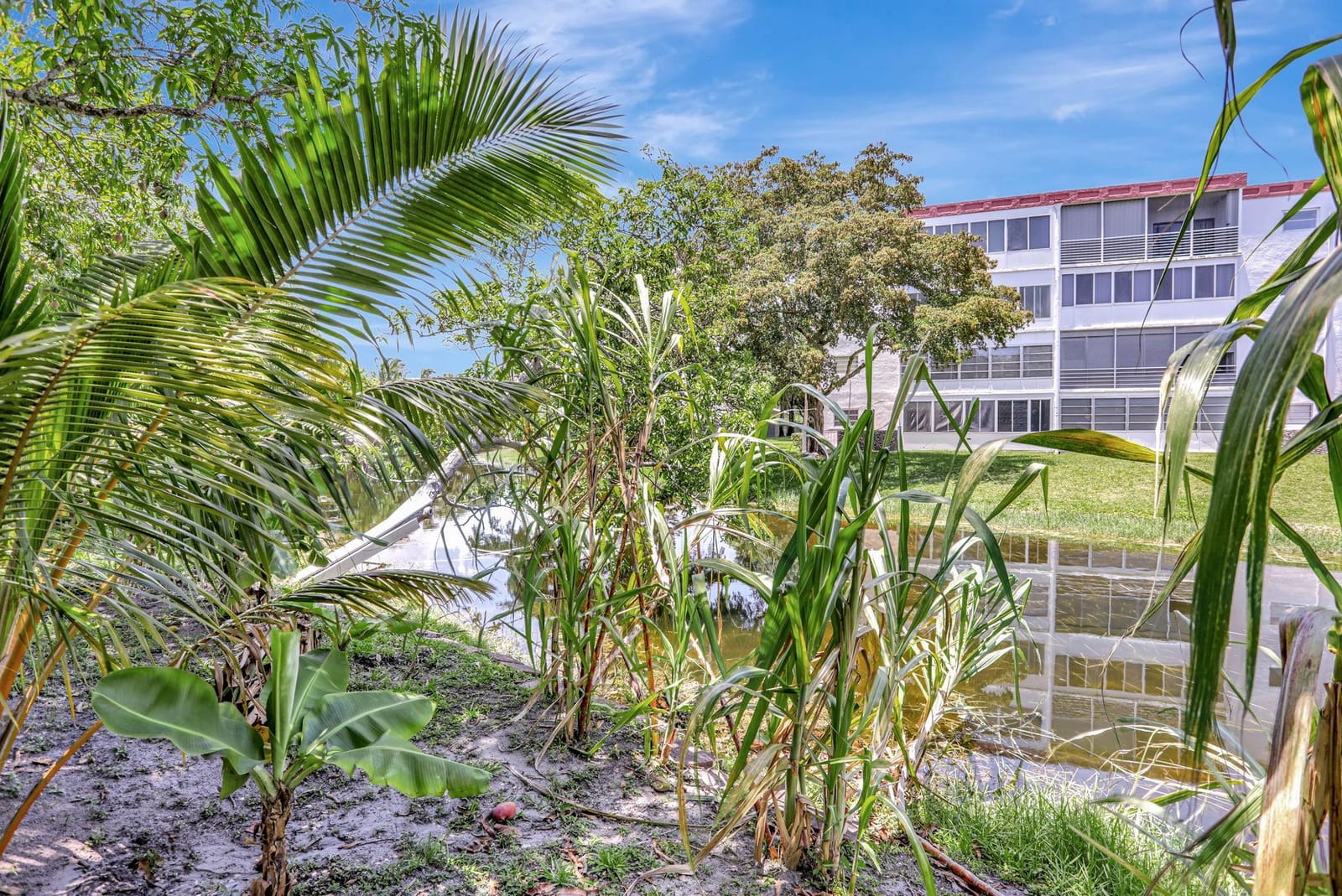 3960 NW 45th Avenue, Lauderdale Lakes, FL 33319 photo 21