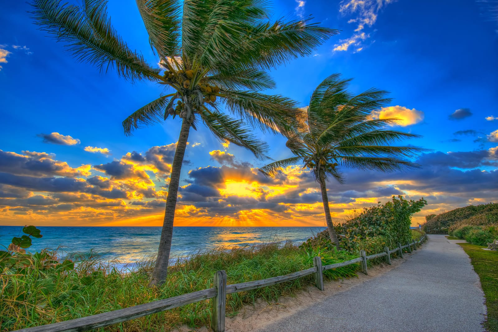 1605 S Us Highway 1 B406, Jupiter, FL 33477 photo 29