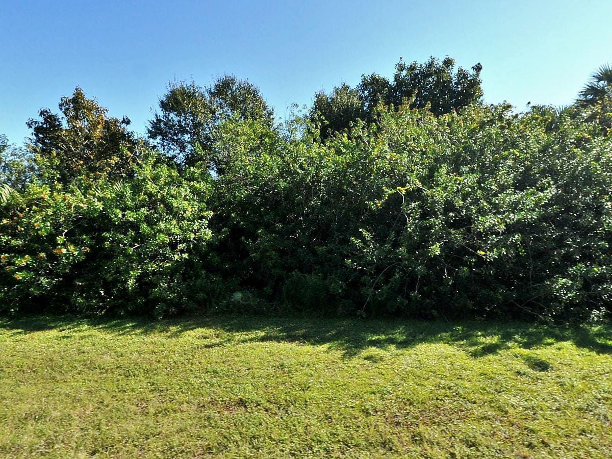 4249 SW Port St Lucie Street — photo 2