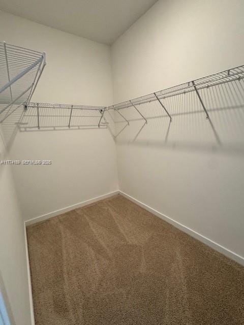 669 NW 6th Terrace, Florida City, FL 33034 photo 10