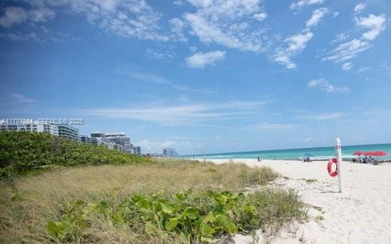 8250 Byron Avenue 404, Miami Beach, FL 33141
