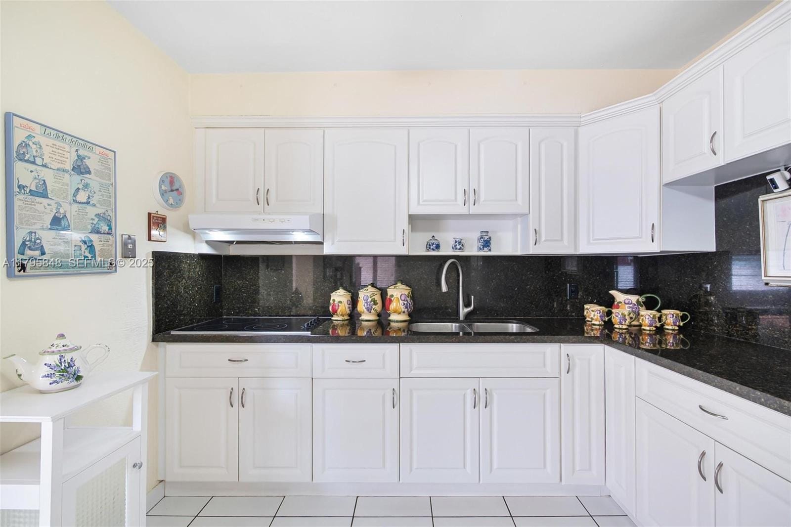 241 NW 46th Avenue, Miami, FL 33126 photo 19