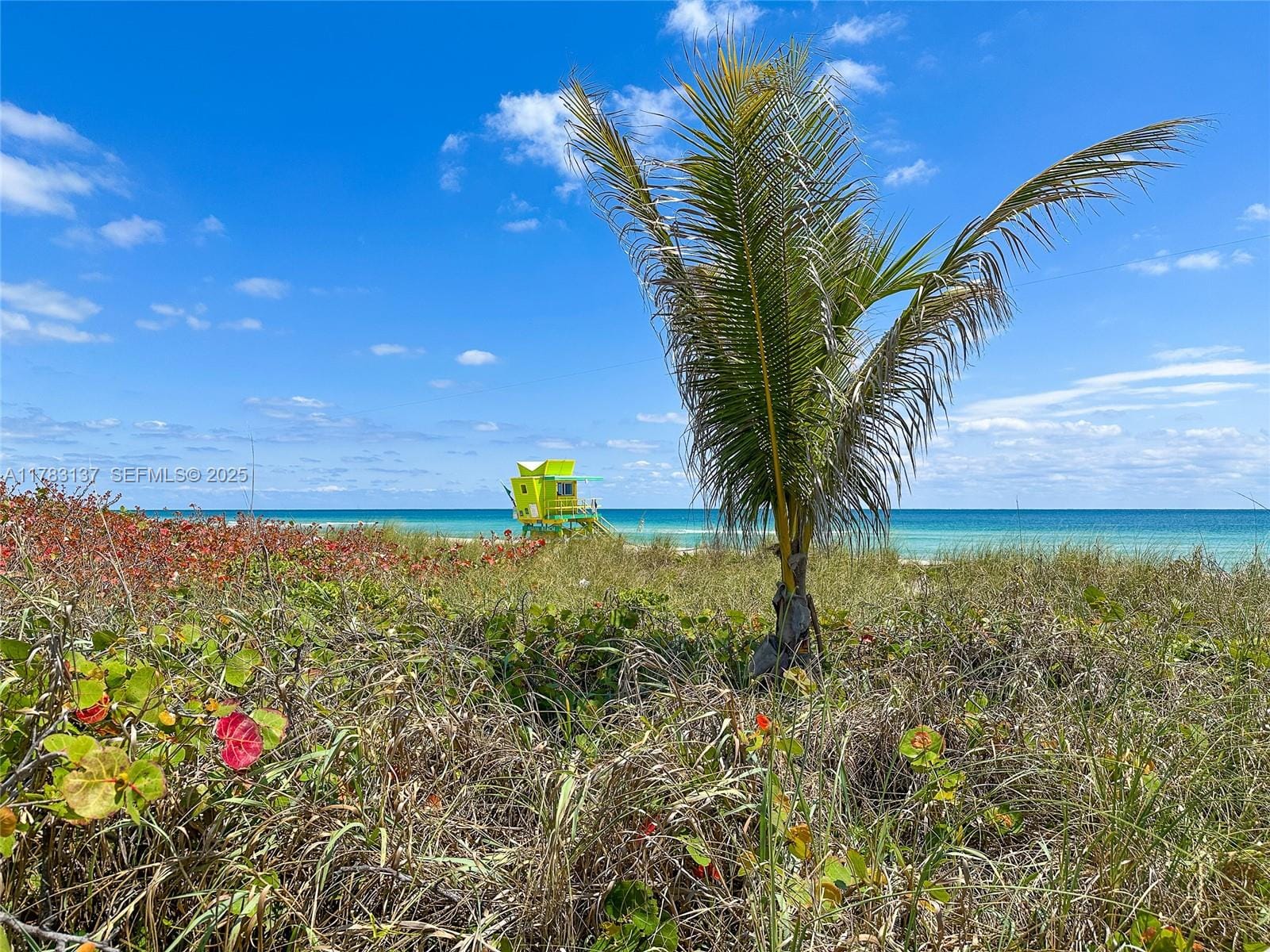 8233 Harding Avenue 607, Miami Beach, FL 33141 photo 23