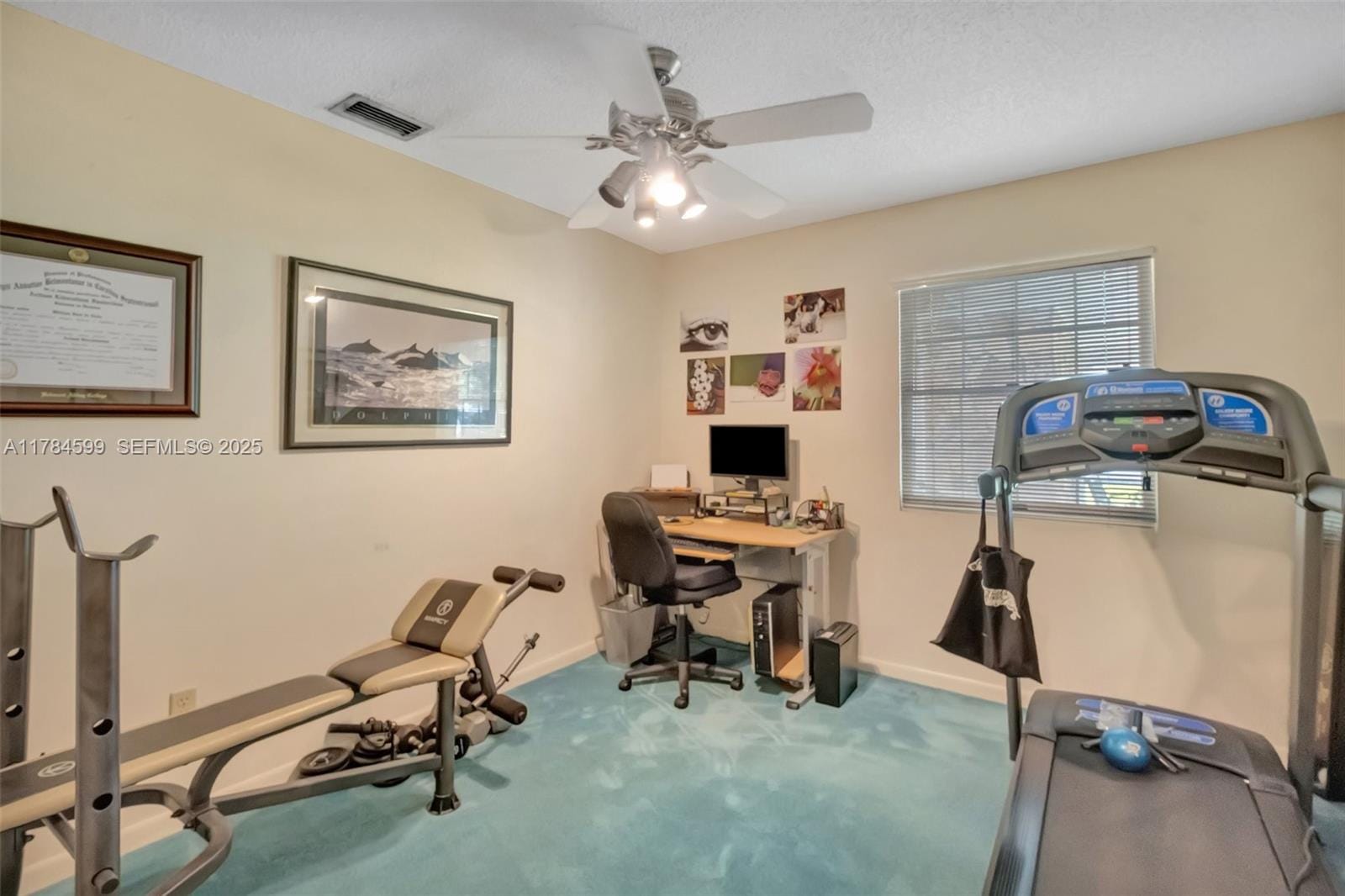 14741 SW 148th Avenue, Miami, FL 33196 photo 21