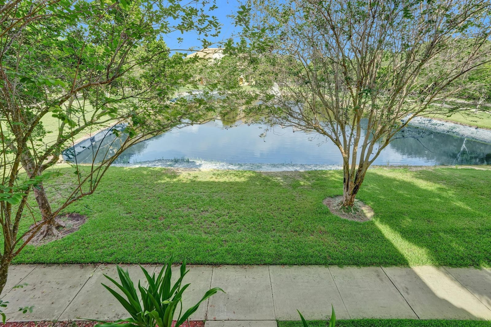 3915 Passion Flower Road 3915 — photo 7