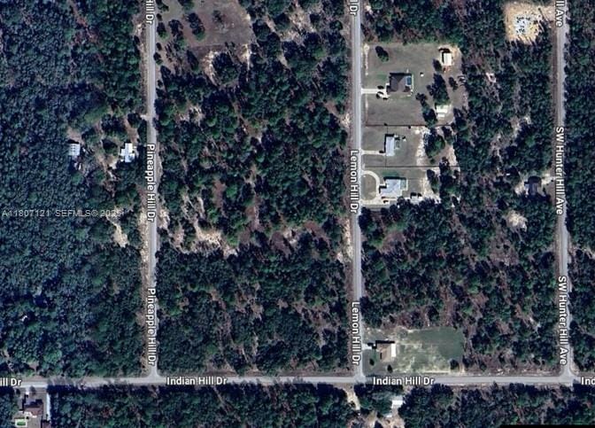 0 SW Lemon Hill Drive, FL 34431