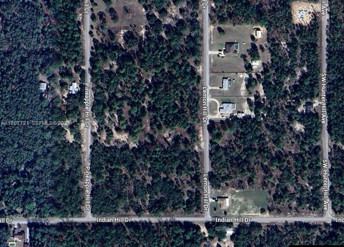 0 SW Lemon Hill Drive, FL 34431, Dunnellon