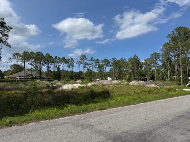 16773 78th Road N, The Acreage, FL 33470 photo 2