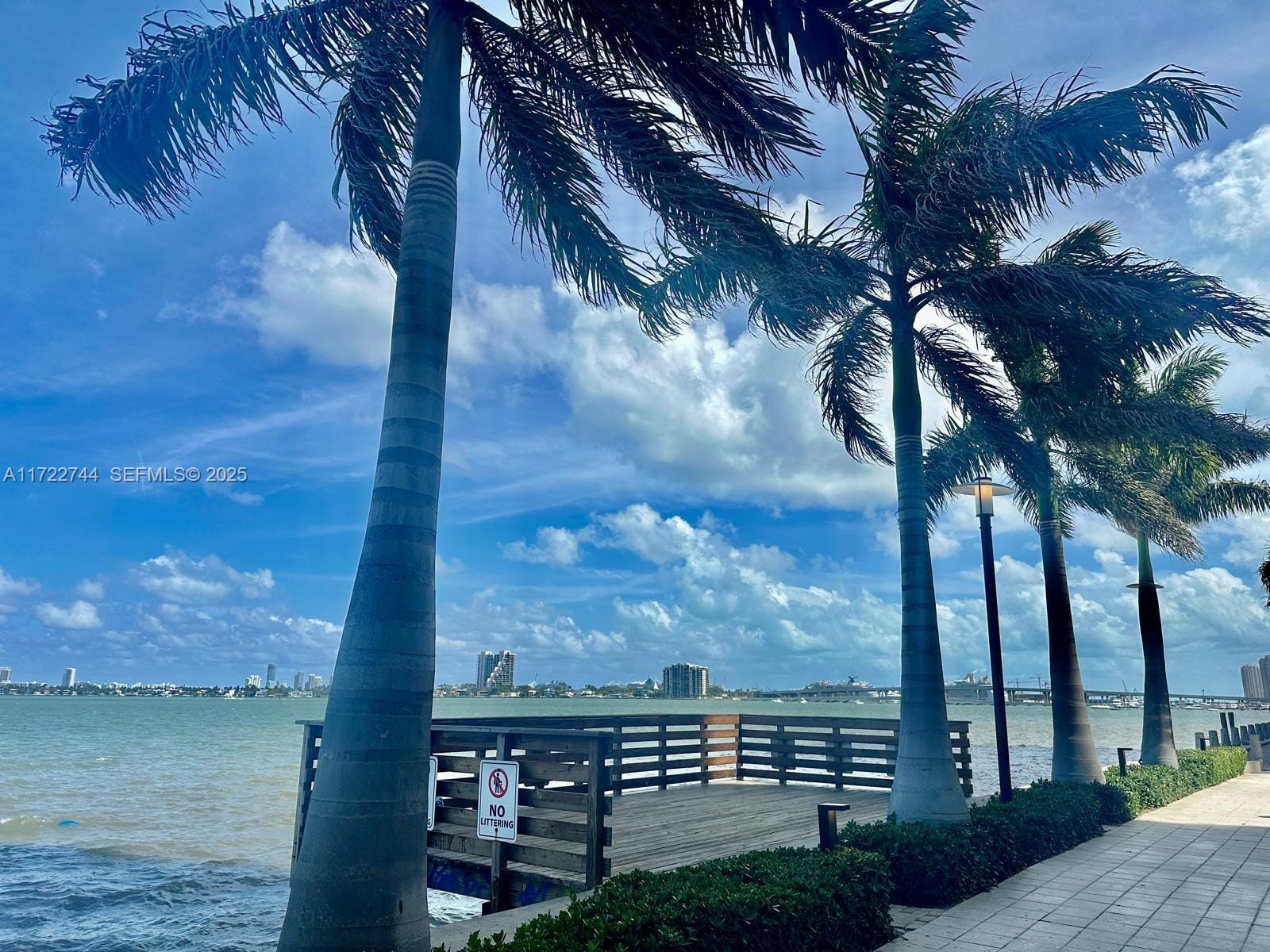 601 NE 23rd Street 901, Miami, FL 33137 photo 13