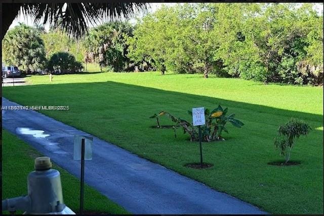 500 NE 2nd Street 120, Dania Beach, FL 33004 photo 16