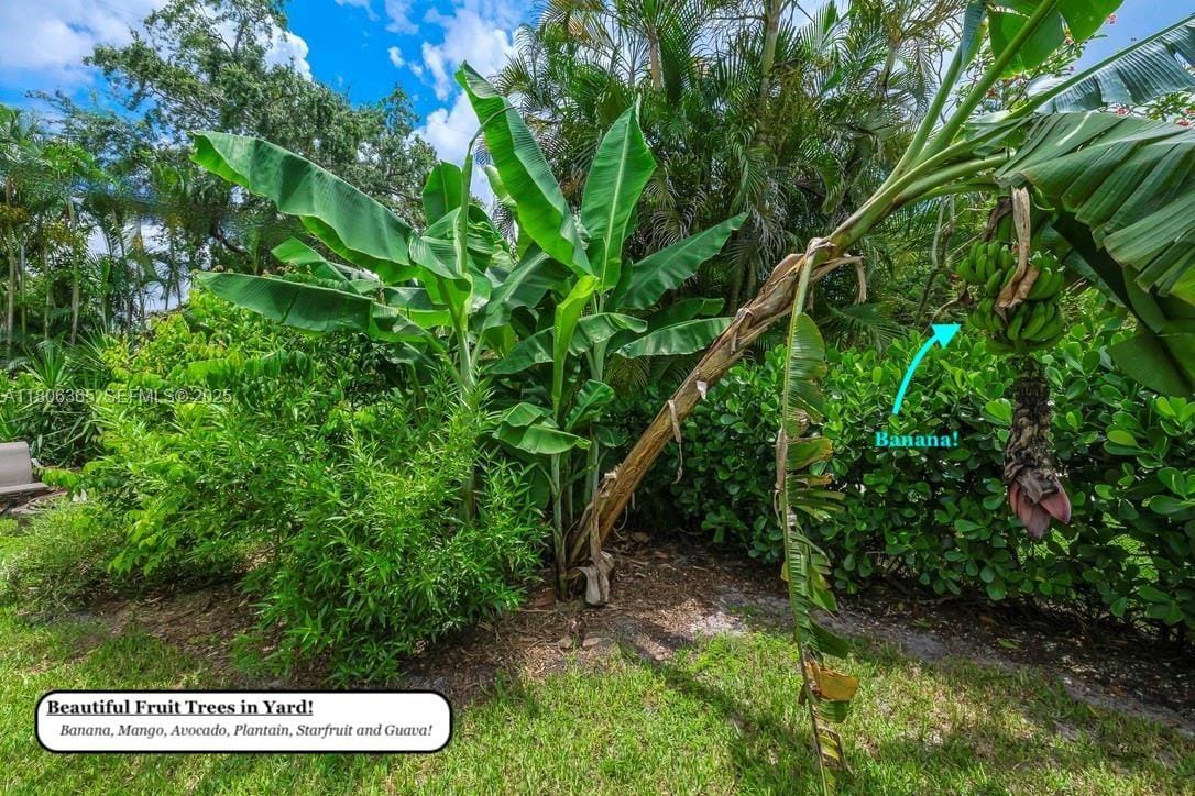 65 NE 107th Street, Miami Shores, FL 33161 photo 30
