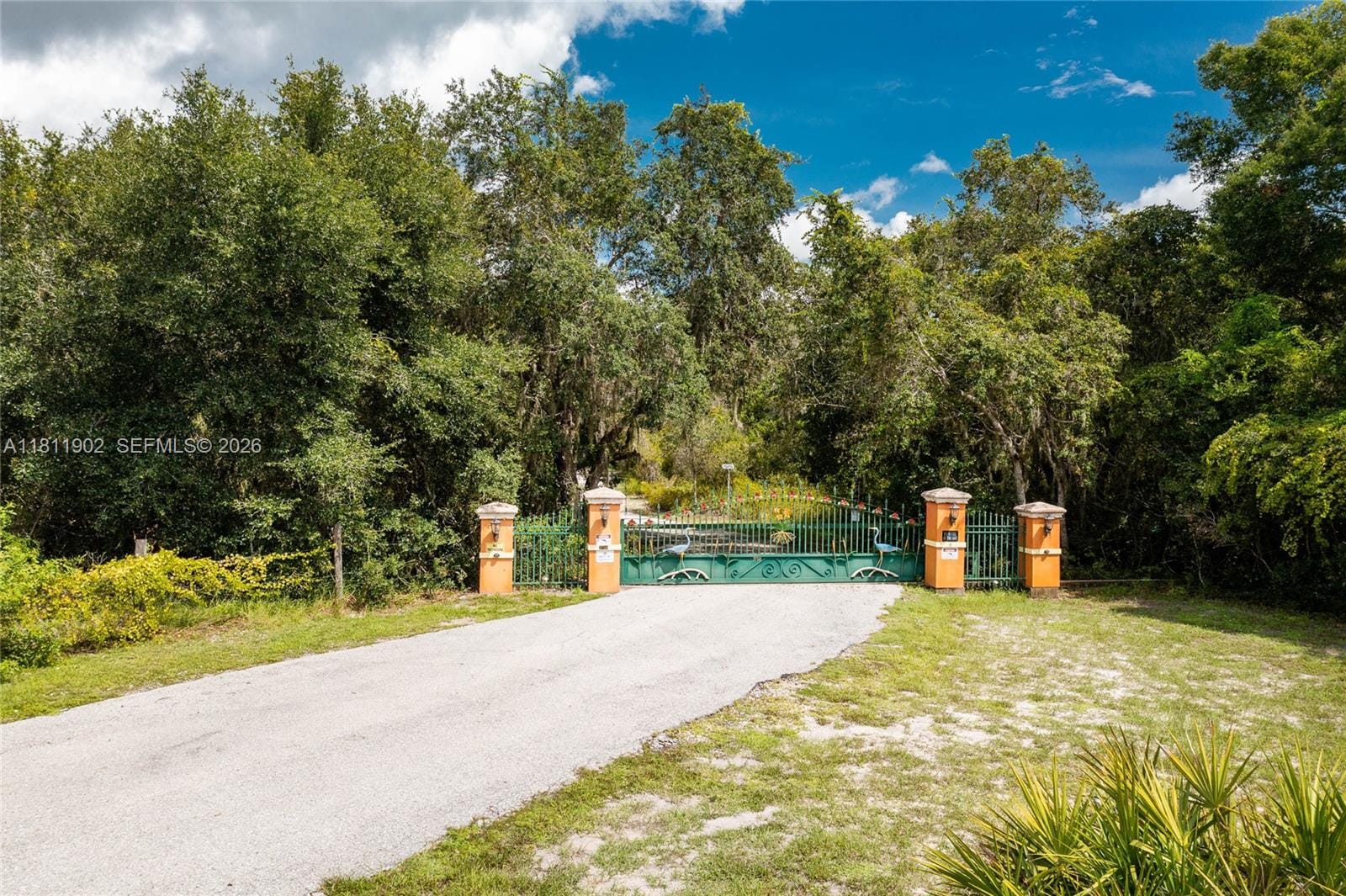 37511 Washington Loop Road — photo 4