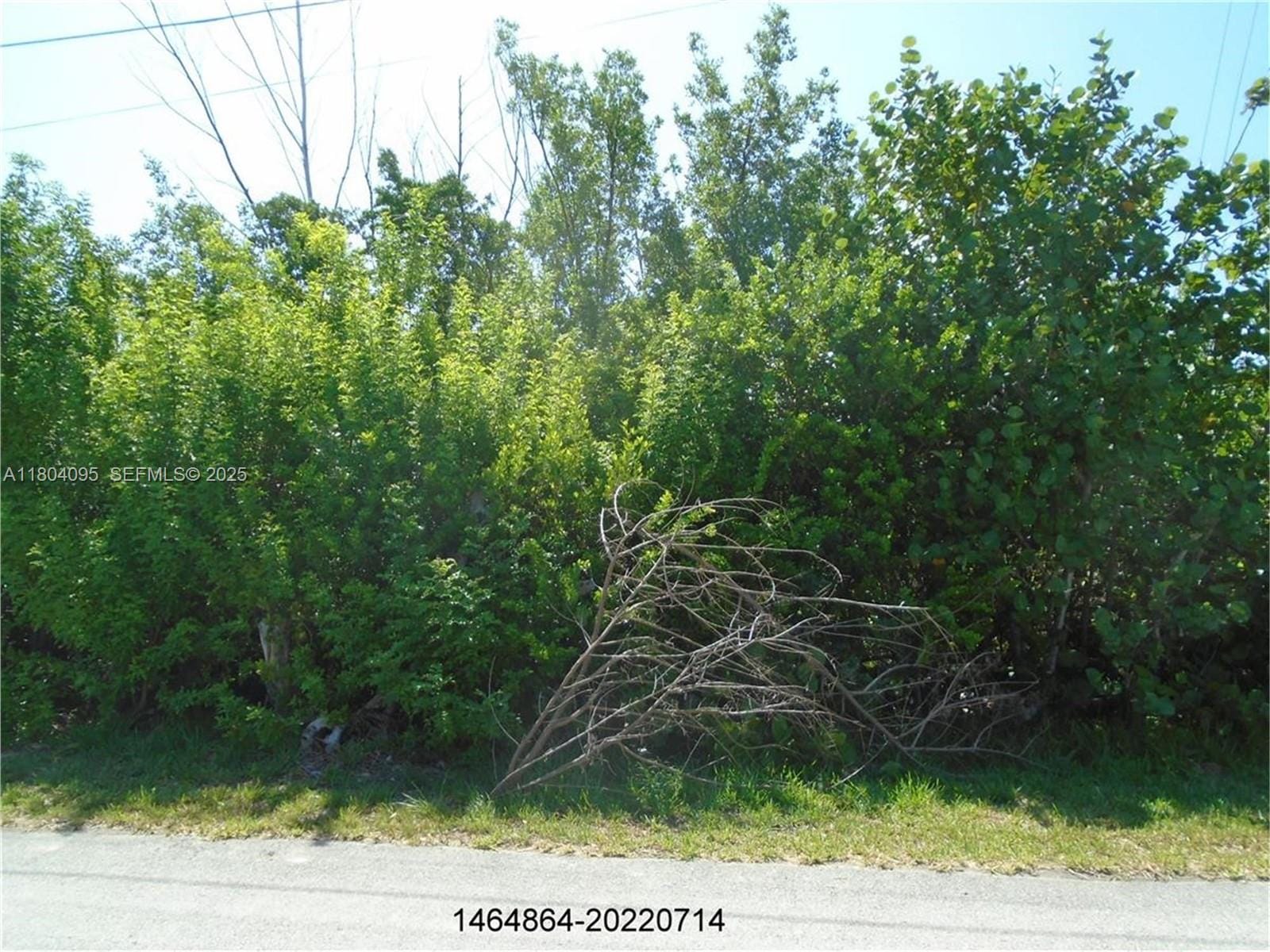 113 Jamaica Street — photo 4