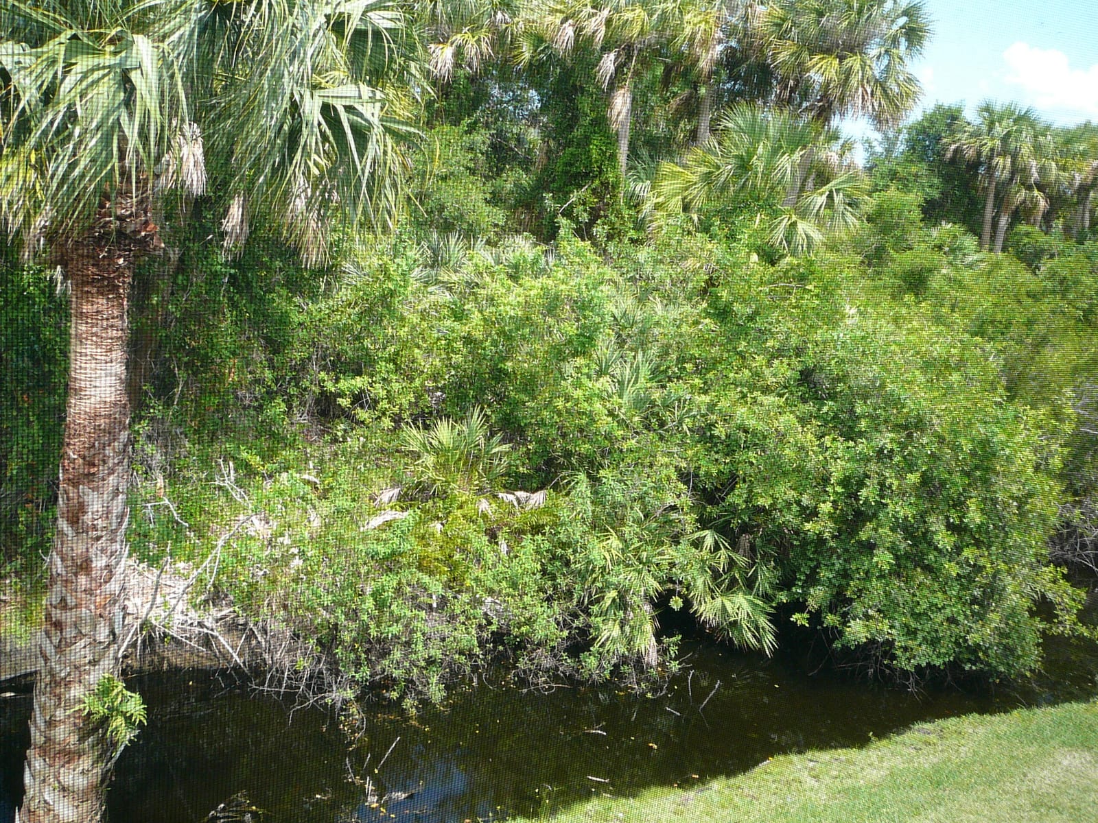 1840 E Sanderling Lane 1, Fort Pierce, FL 34982 photo 15