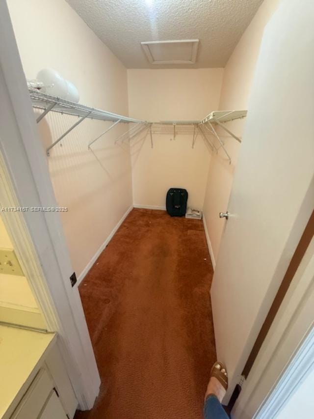 6420 SW 129th Place 206, Miami, FL 33183 photo 13
