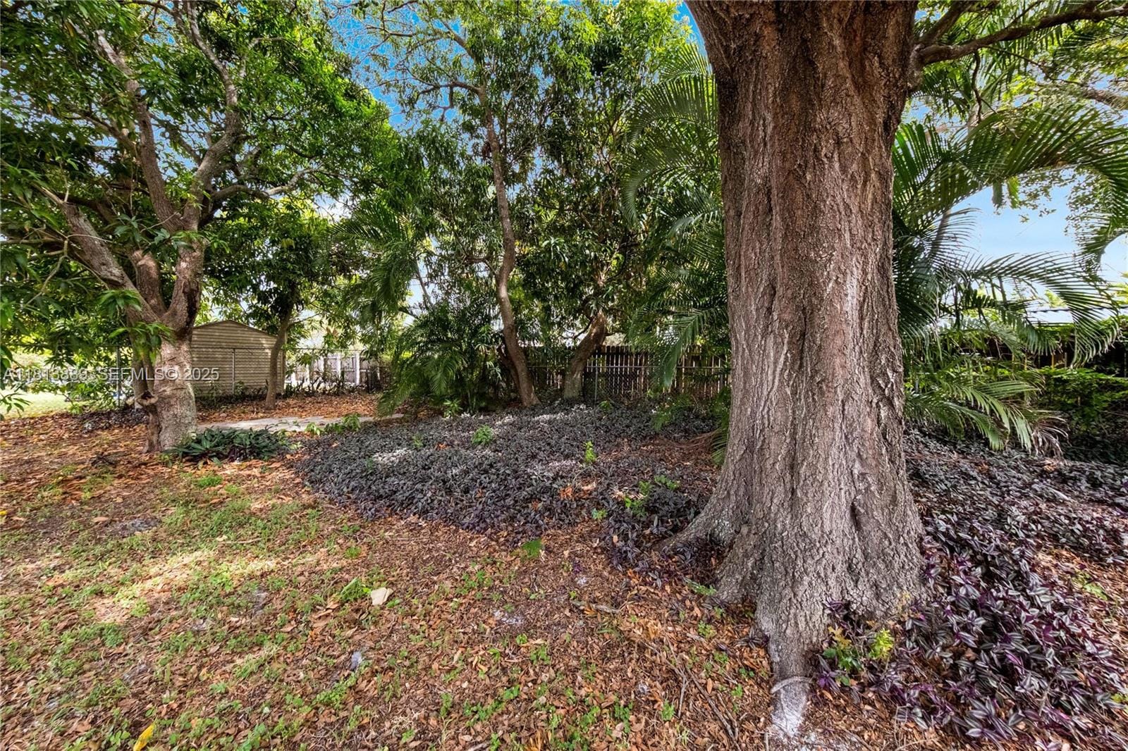 2431 Rodman Street, Hollywood, FL 33020 photo 28
