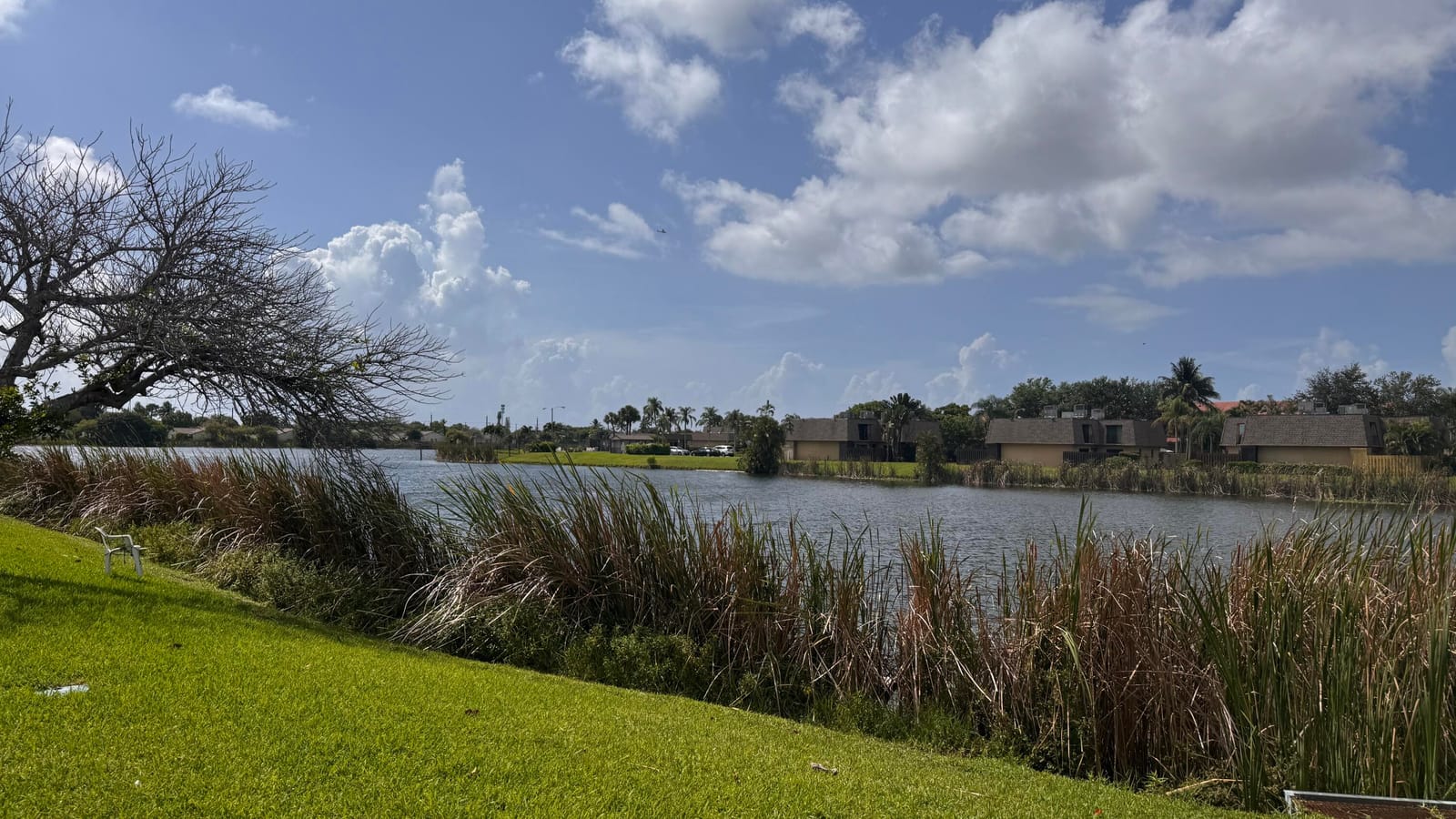 1301 Waterview Circle, Palm Springs, FL 33461 photo 14