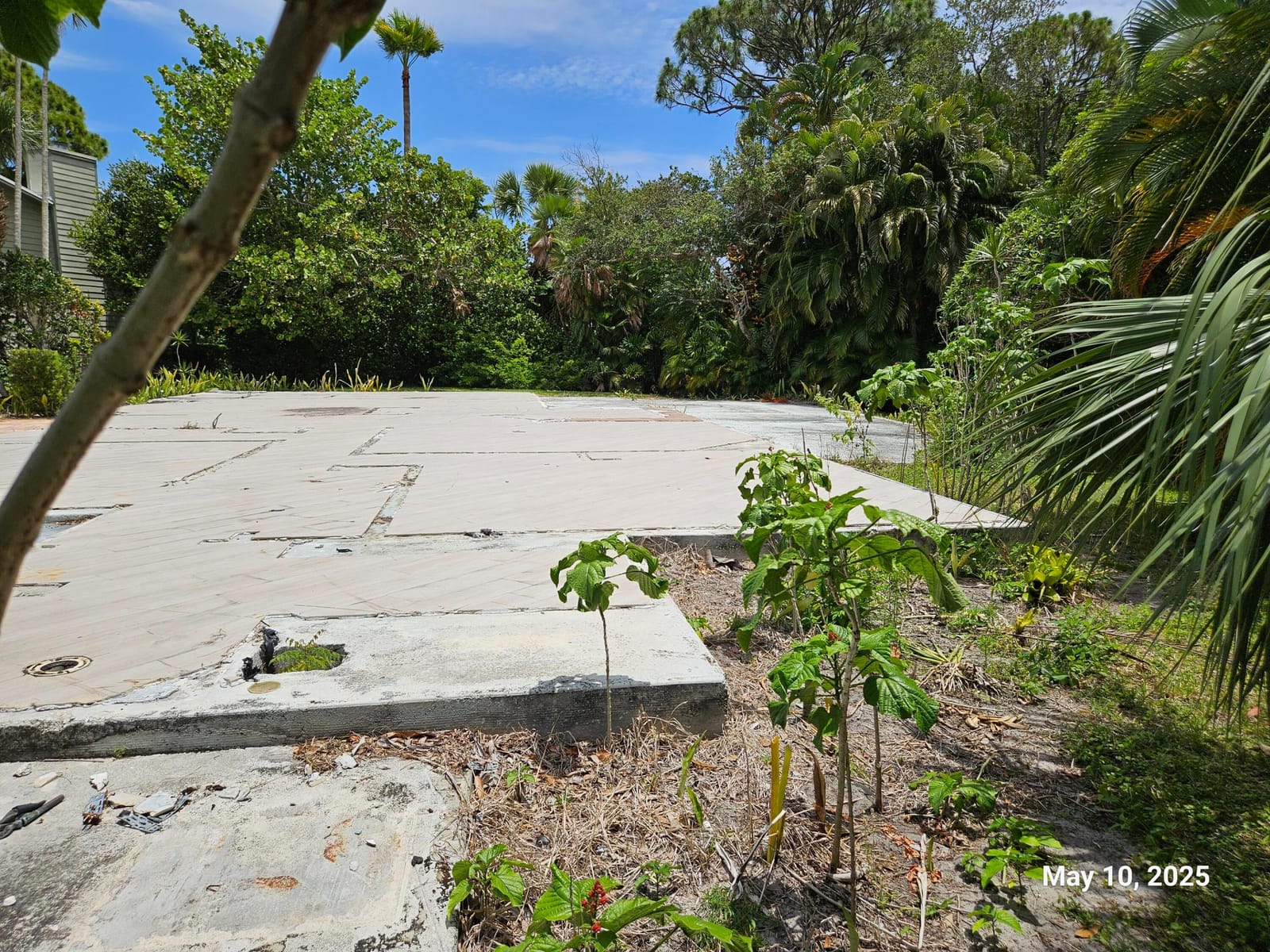 958 NE Dahoon Terrace — photo 7