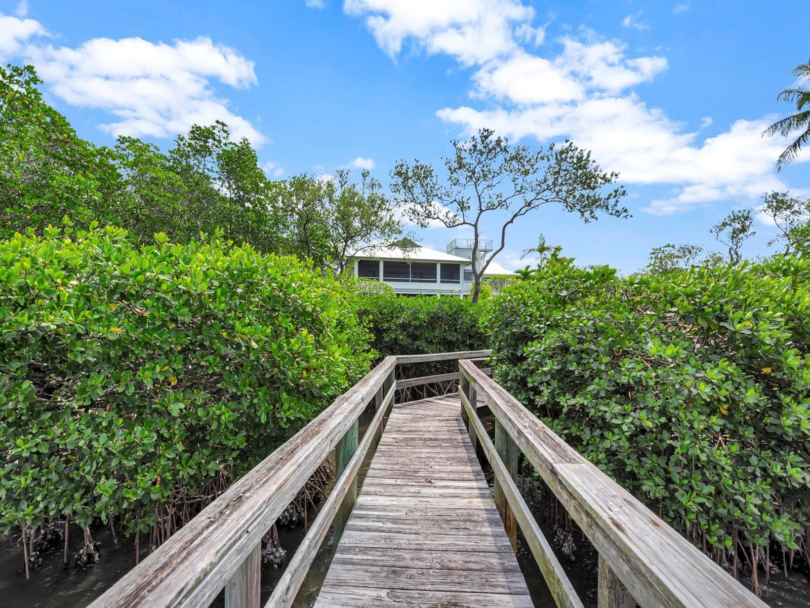 1700 Coconut Drive — photo 10