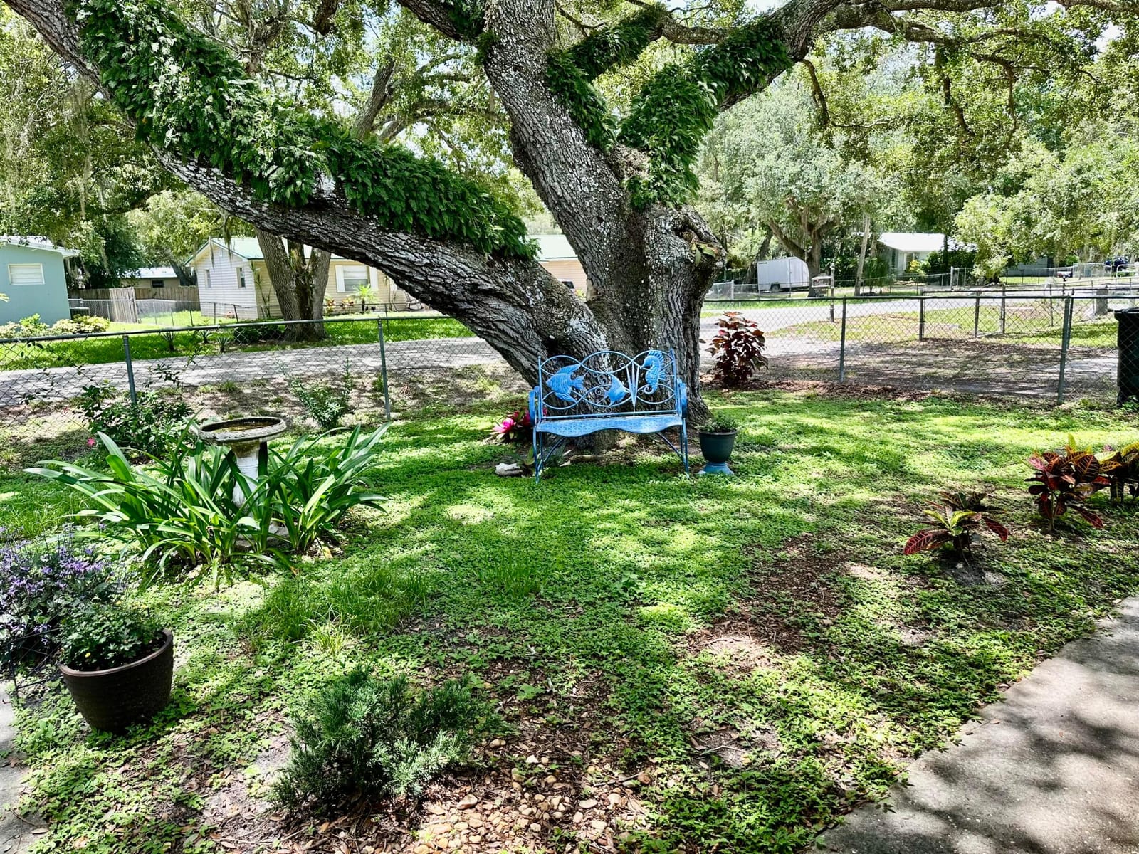 3595 SW 19th Street, Okeechobee, FL 34974 photo 3