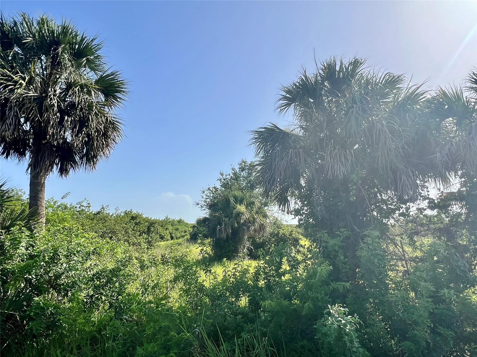 7550 SW Conners Highway, Okeechobee, FL 34974 photo 2