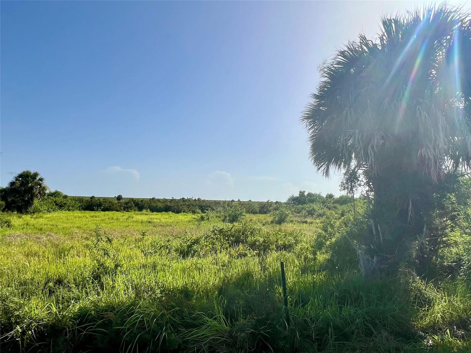 7550 SW Conners Highway, Okeechobee, FL 34974 photo 3