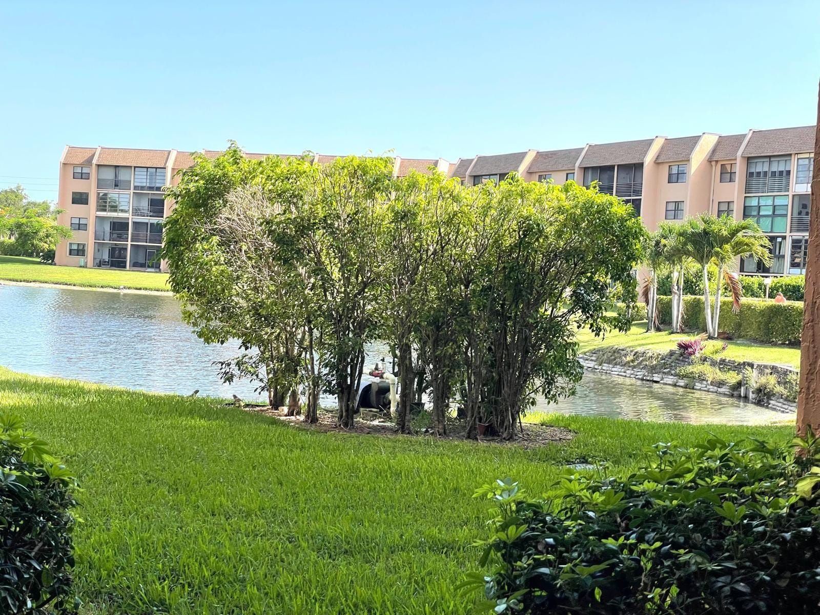 10444 NW 30th Court 409, Sunrise, FL 33322 photo 28