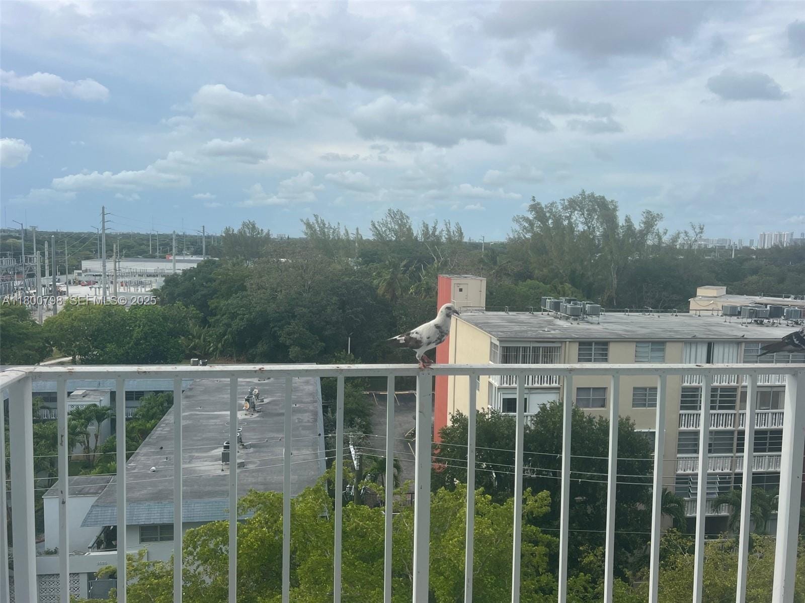 1470 NE 125th Terrace 810, North Miami, FL 33161 photo 9