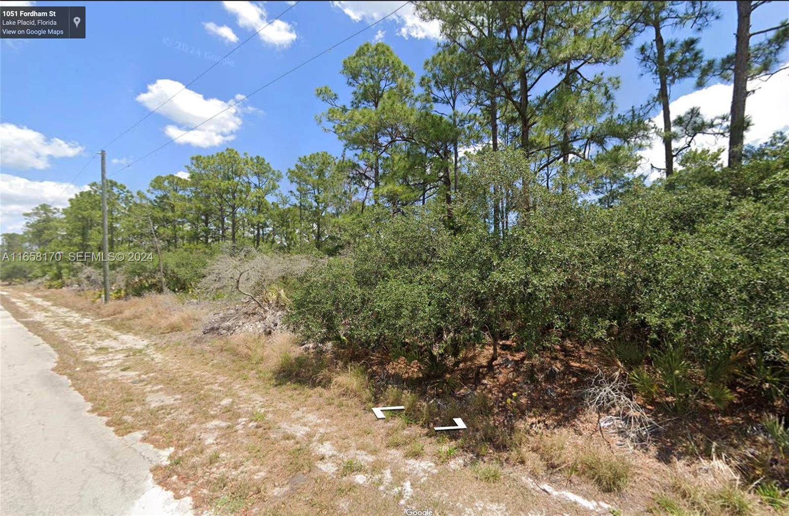 1051 Rigde Street, FL 33852, Lake Placid
