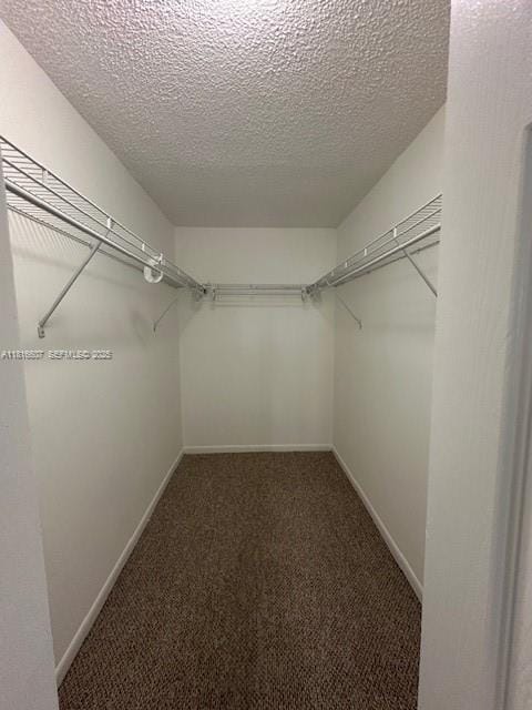 14611 N Kendall Drive 309L, Miami, FL 33186 photo 14