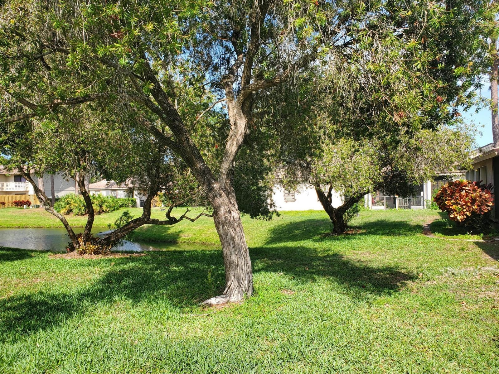 2831 Stoneway Lane C — photo 3