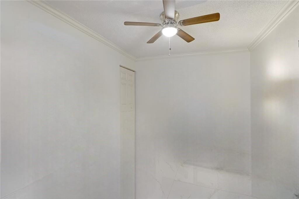 8131 NW 3rd Place, Coral Springs, FL 33071 photo 13