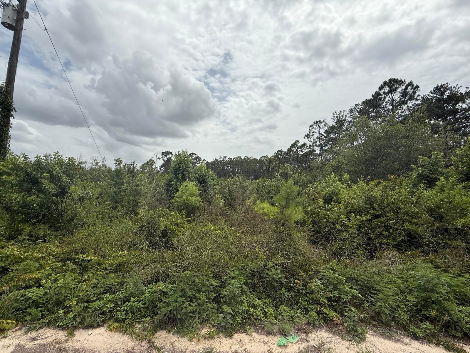 129 Fishermans Drive — photo 4