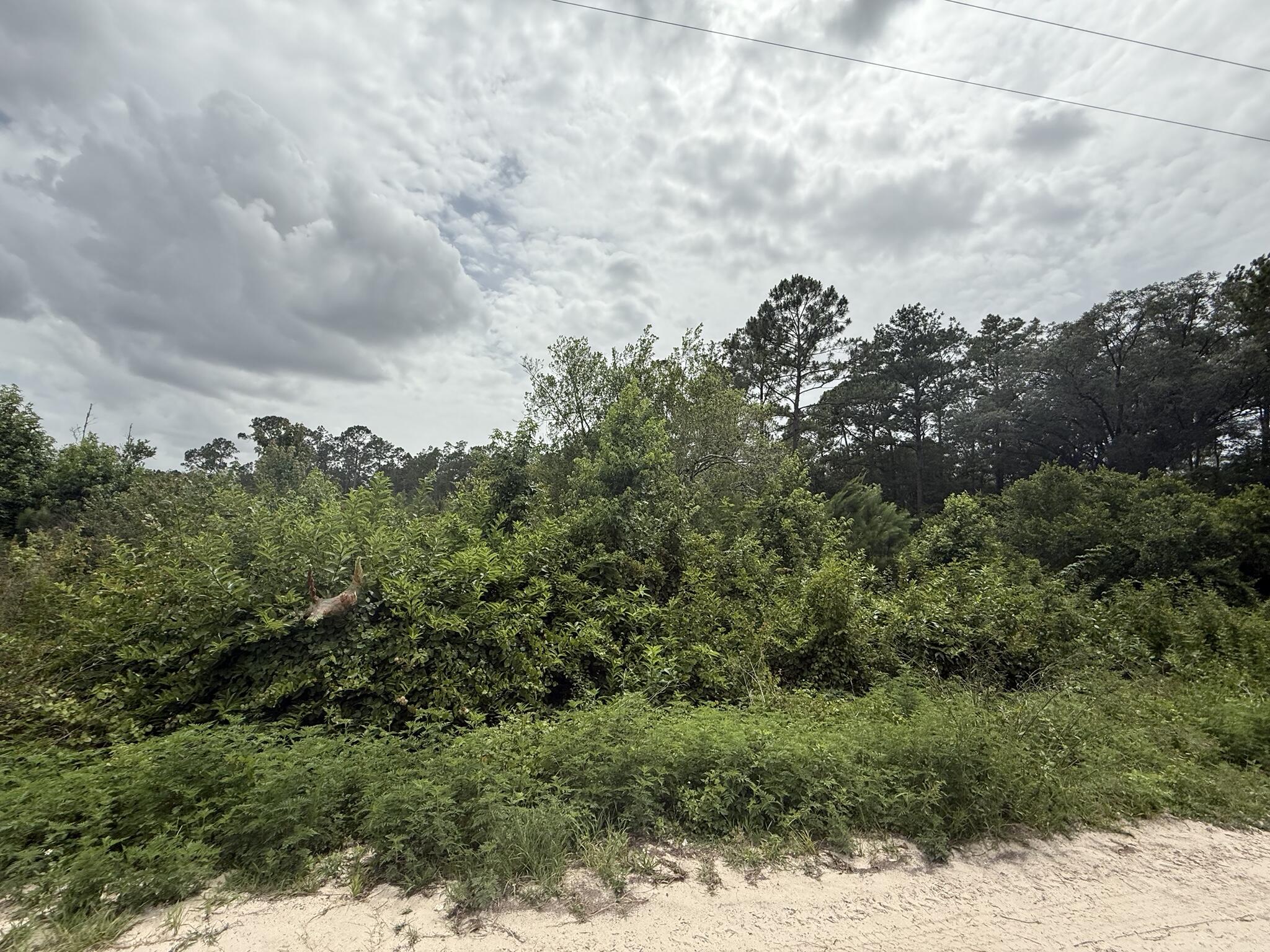 129 Fishermans Drive, Interlachen, FL 32148, Interlachen