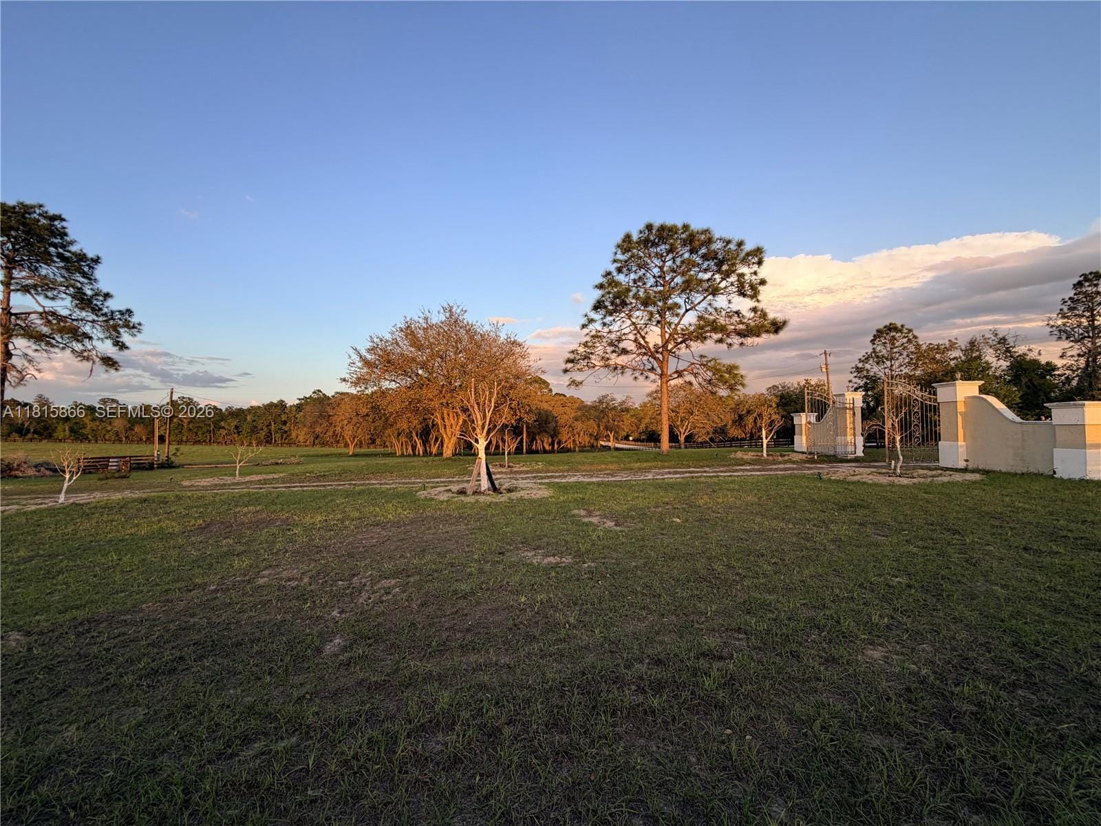 12451 NE 20th Street, FL 32696 photo 5