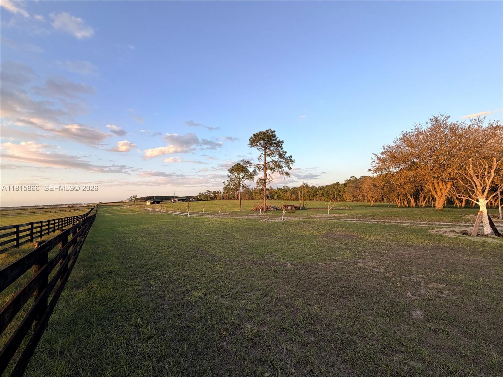12451 NE 20th Street, FL 32696 photo 9