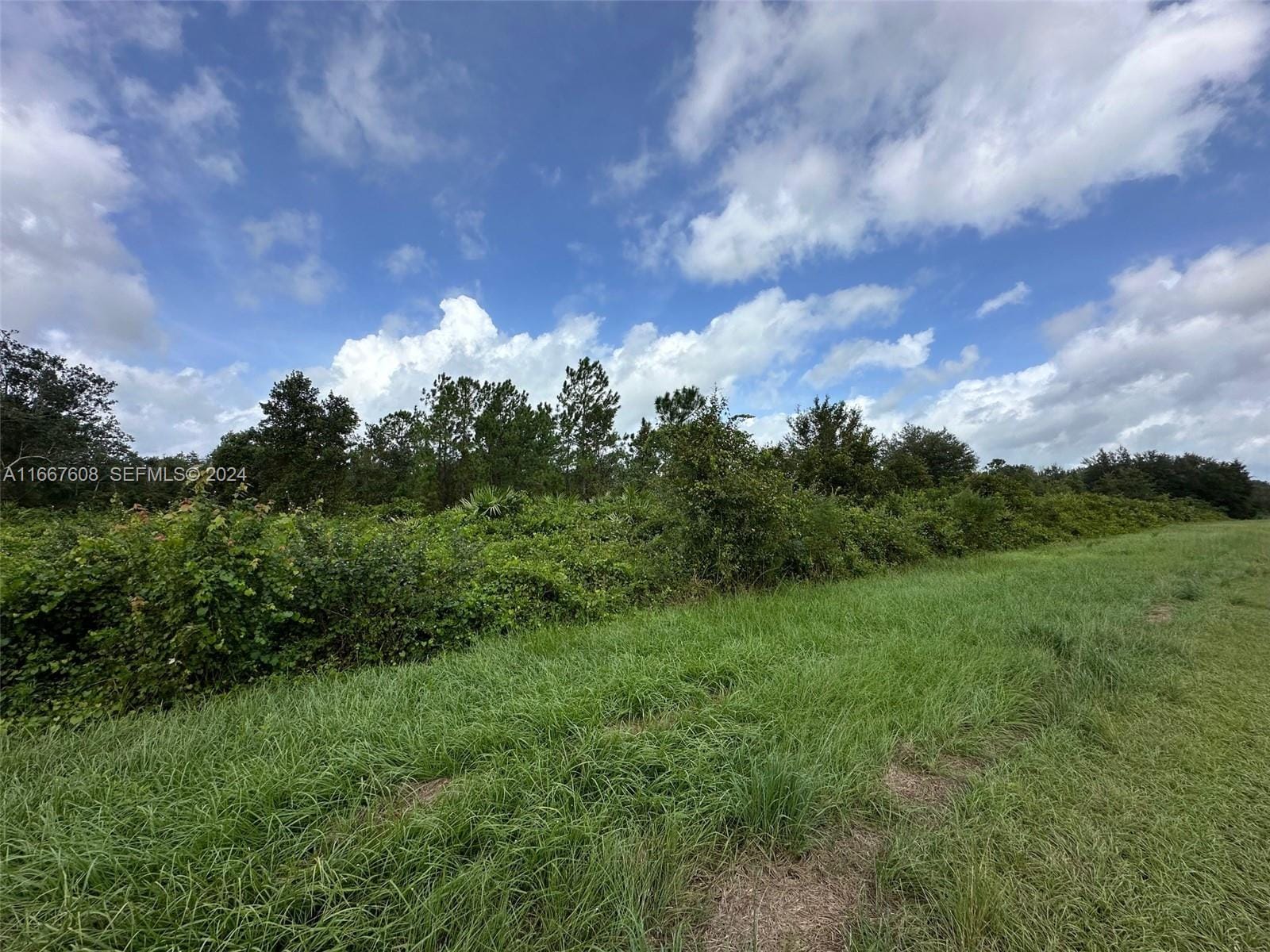 1010 S Gabriel Rd Avon Park, Avon Park, FL 33825 photo 2