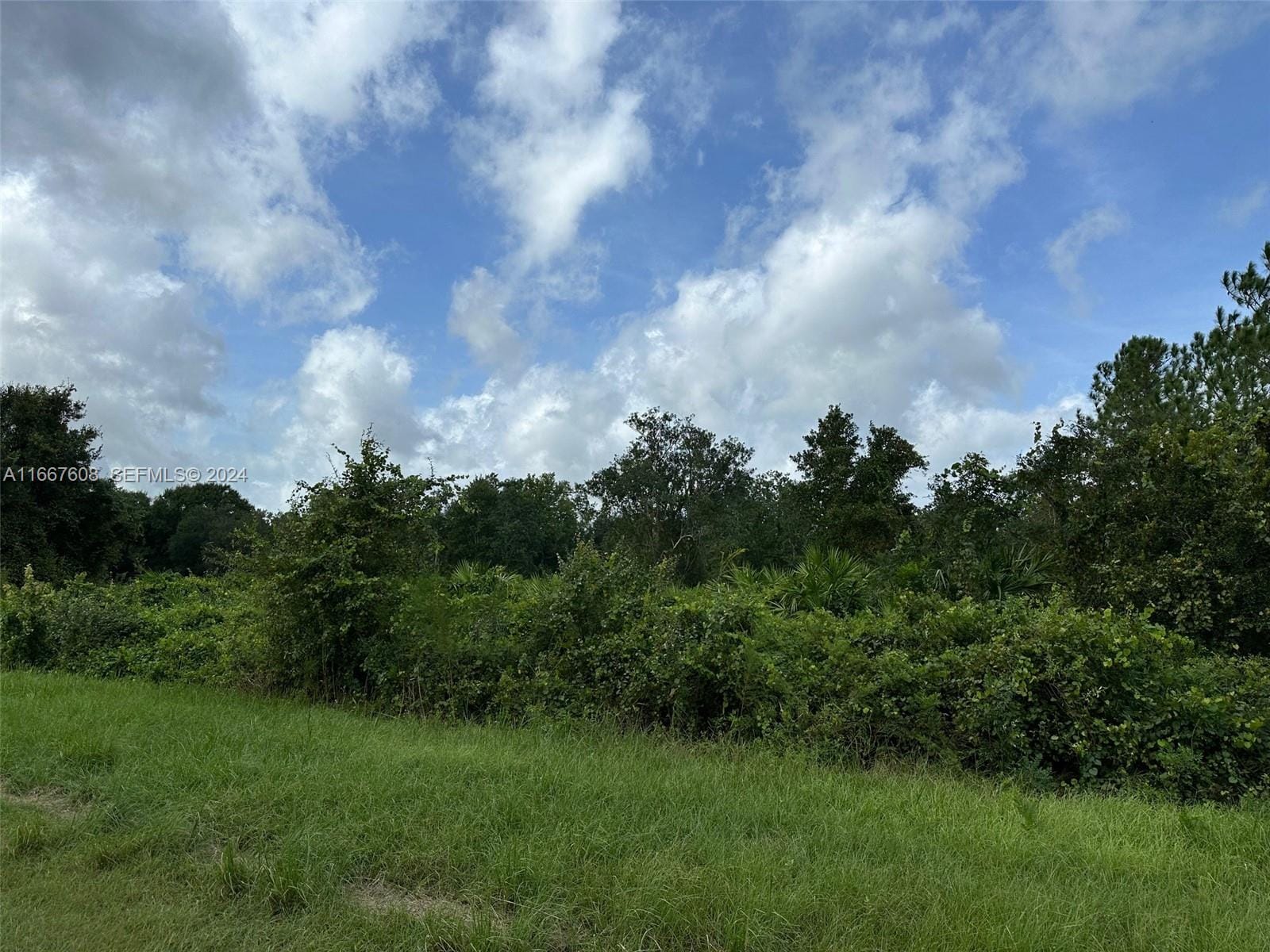 1010 S Gabriel Rd Avon Park, Avon Park, FL 33825 photo 3