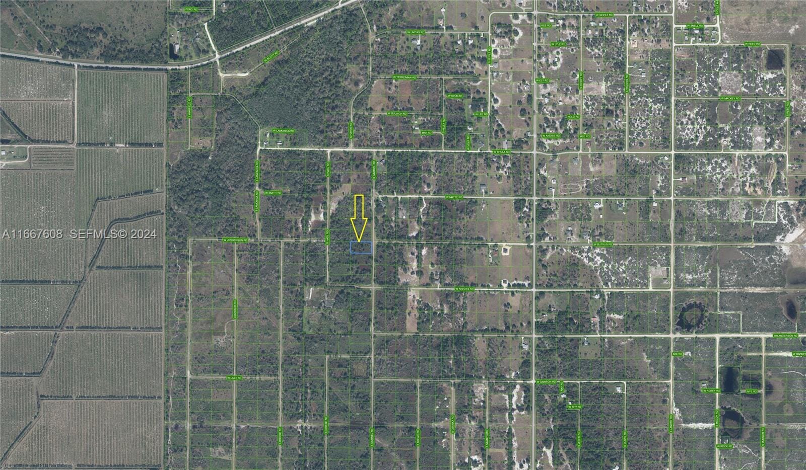 1010 S Gabriel Rd Avon Park, Avon Park, FL 33825 photo 4