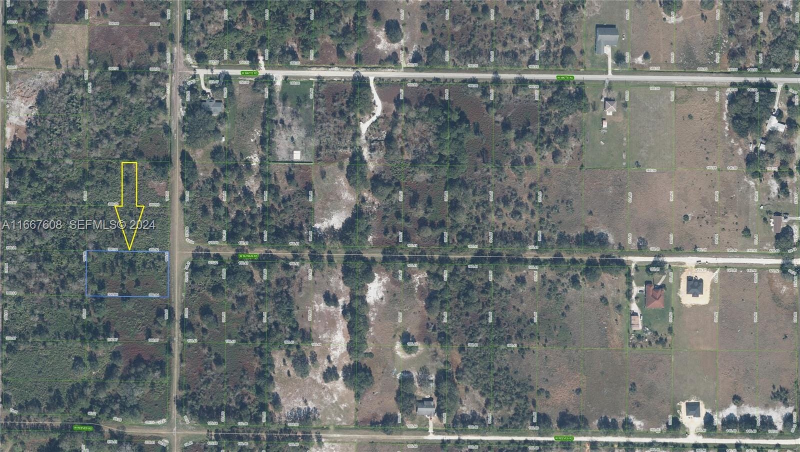 1010 S Gabriel Rd Avon Park, Avon Park, FL 33825 photo 5